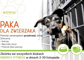 PAKA DLA ZWIERZAKA - zbiórka darów dla zwierząt umieszczonych w schroniskach w Łodzi, Poznaniu i Warszawie.